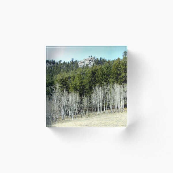 Rock above the trees Acrylic Block