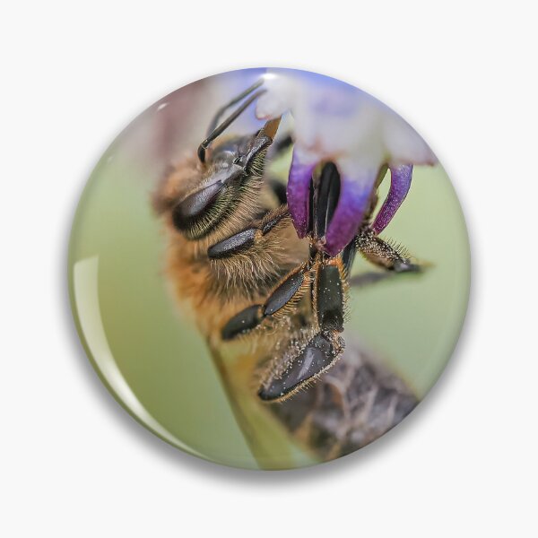 Artikelvorschau, flower bee entworfen und verkauft von AliMarleyPhoto.