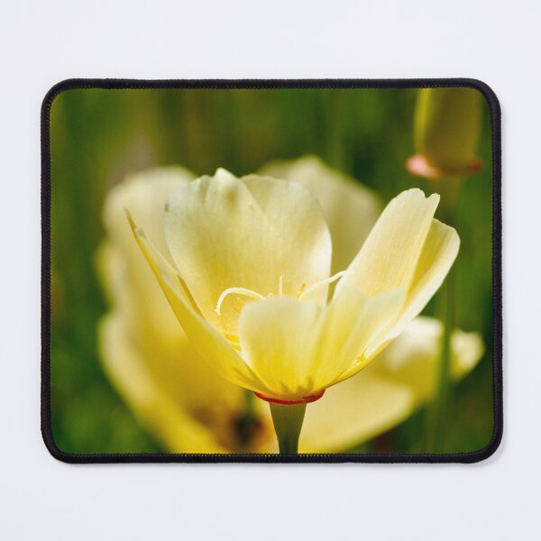 Item preview, California Poppy designed and sold by Tanya C  Smith.