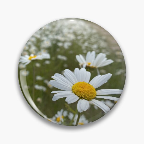 Artikelvorschau, Gänseblümchen für Tage entworfen und verkauft von Oh So Keen.