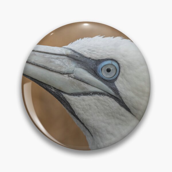 Item preview, Gannet designed and sold by AliMarleyPhoto.