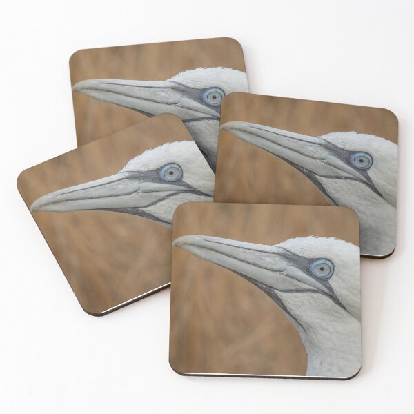 Item preview, Gannet designed and sold by AliMarleyPhoto.