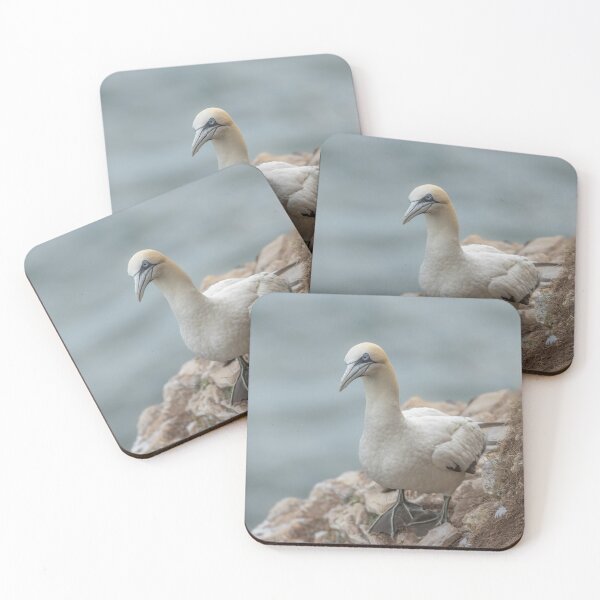 Item preview, Gannet designed and sold by AliMarleyPhoto.