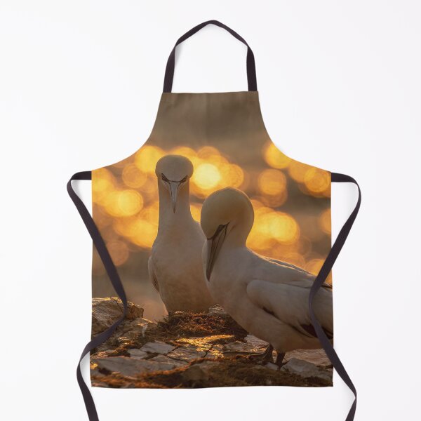 Item preview, Golden gannet couple designed and sold by AliMarleyPhoto.