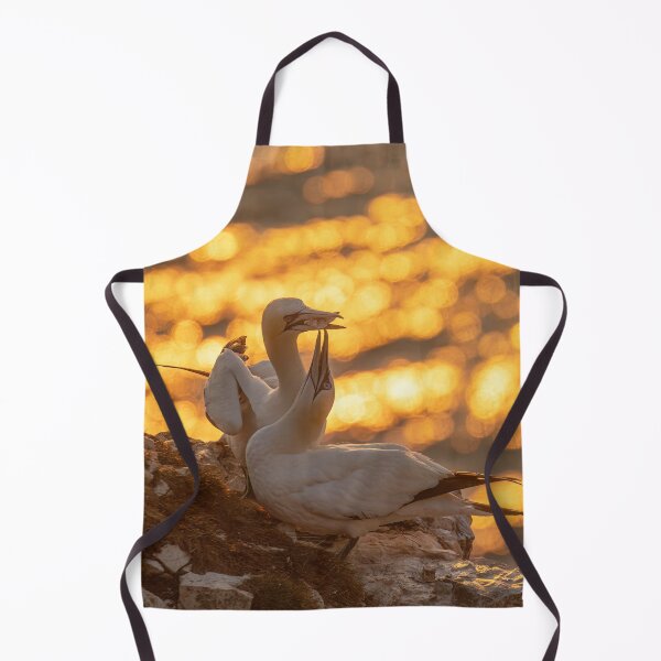 Item preview, Golden gannet couple designed and sold by AliMarleyPhoto.