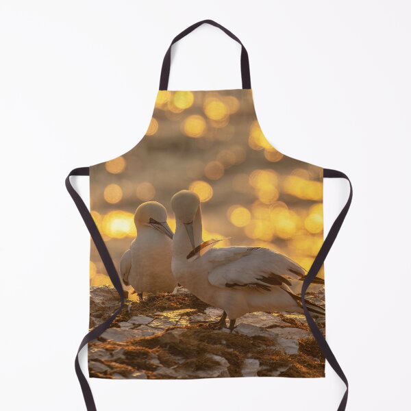 Item preview, Golden gannet couple designed and sold by AliMarleyPhoto.