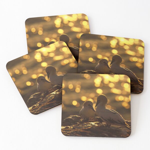 Item preview, Golden gannet couple designed and sold by AliMarleyPhoto.