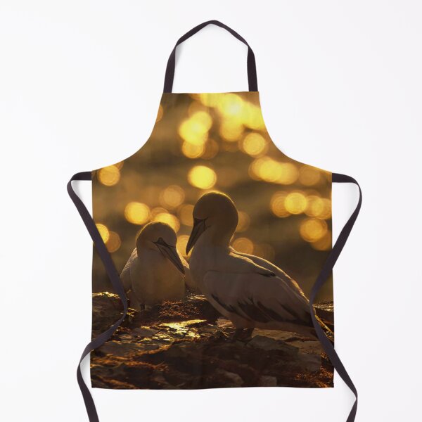 Item preview, Golden gannet couple designed and sold by AliMarleyPhoto.