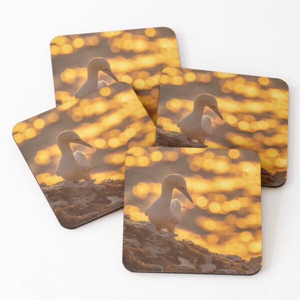 Item preview, Golden gannet designed and sold by AliMarleyPhoto.