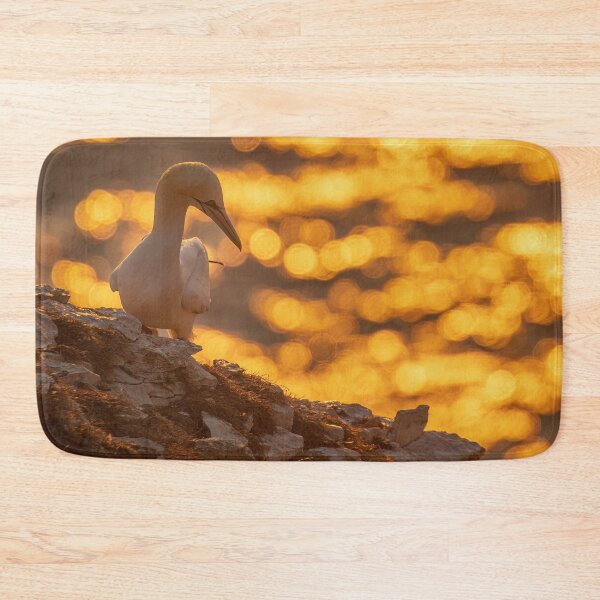 Item preview, Golden gannet designed and sold by AliMarleyPhoto.