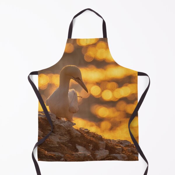 Item preview, Golden gannet designed and sold by AliMarleyPhoto.