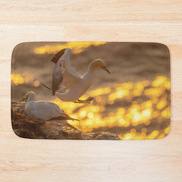 Item preview, Golden gannet jump designed and sold by AliMarleyPhoto.