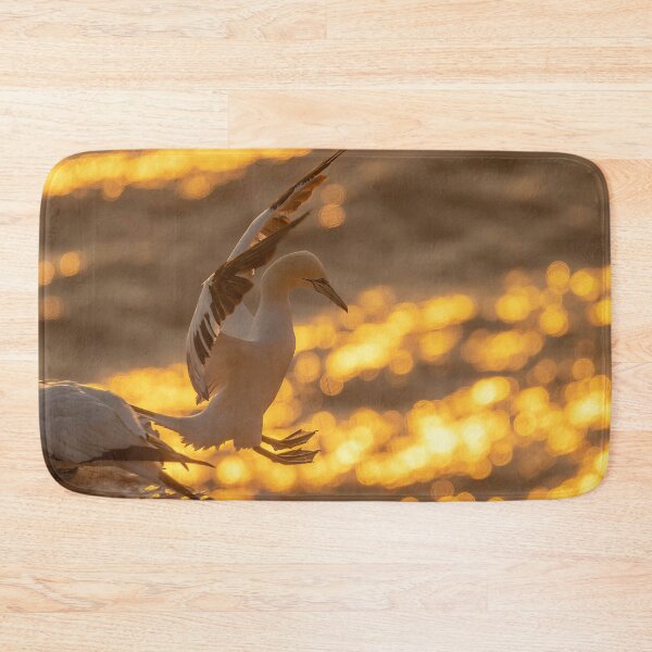Item preview, Golden gannet jump designed and sold by AliMarleyPhoto.