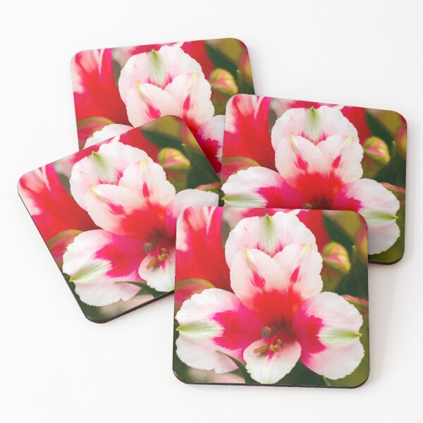 Item preview, Alstroemeria Maya designed and sold by Tanya C  Smith.