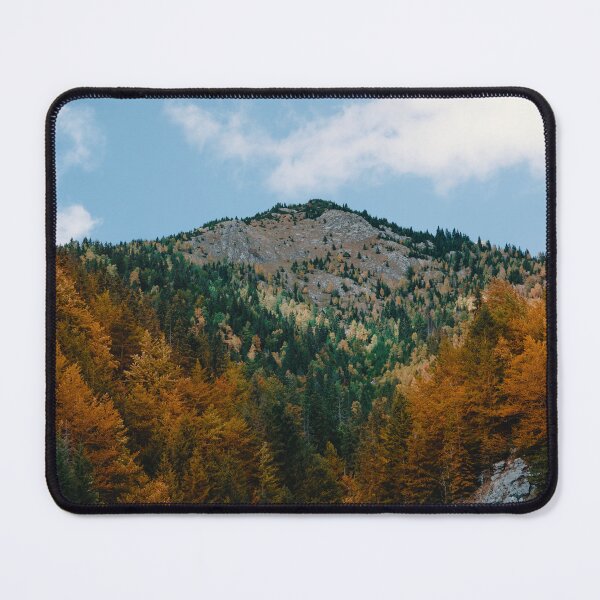 Item preview, Autumn Forest Wallpaper designed and sold by CernatAlin.