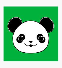 Kawaii Panda Bear Photographic Print