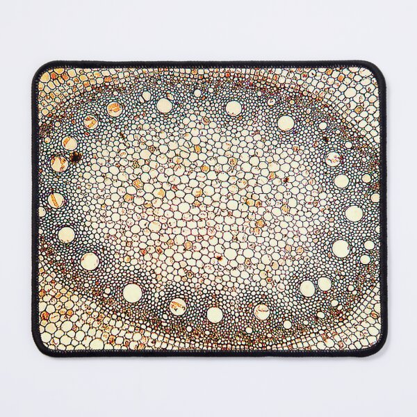 Item preview, corn stem, cells, cross section; plant anatomy, microscopy designed and sold by everydaybotany.
