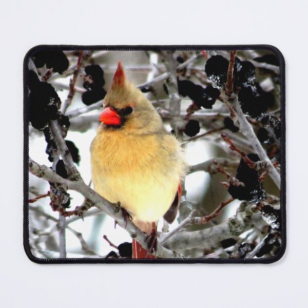 Item preview, Female cardinal designed and sold by SumthinCoool.