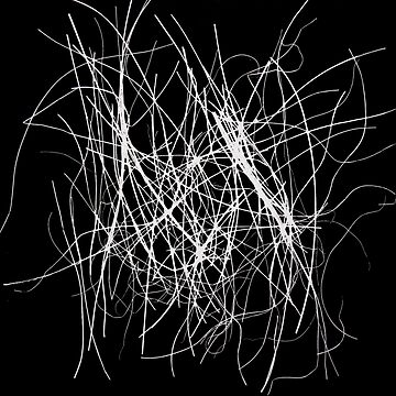 Artwork thumbnail, Seeds & Grass by Lesley Treloar