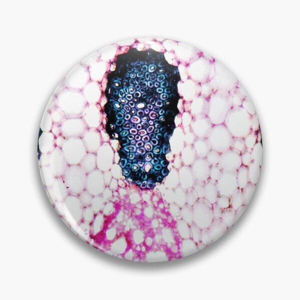 Item preview, Microscopic Cells 02 designed and sold by Minerva92.