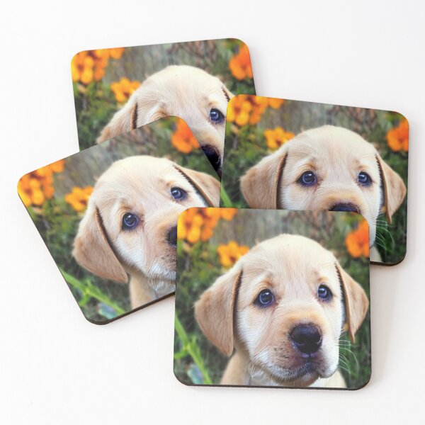 Item preview, Curios Puppy designed and sold by MakeMyDaySweet.