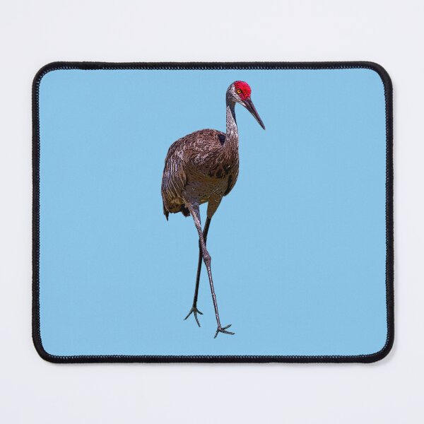 Item preview, Sandhill Crane Color Print Painting Design   designed and sold by designsasstultd.