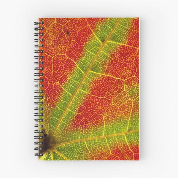 Item preview, Autumn Foliage designed and sold by dlamb.