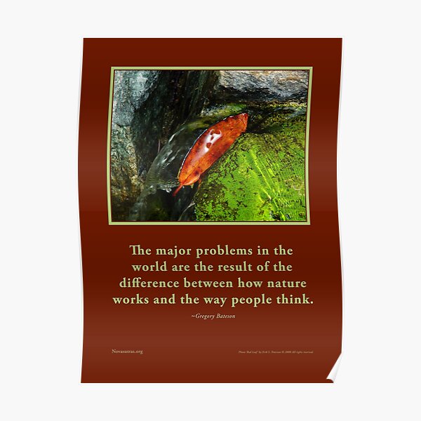 How Nature Works - G. Bateson quote Novasutras Poster