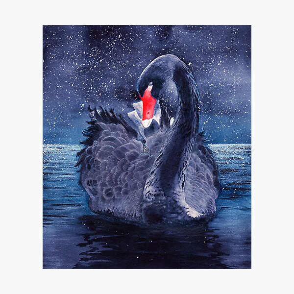 Item preview, A beautiful black swan designed and sold by MaryWatercolor.