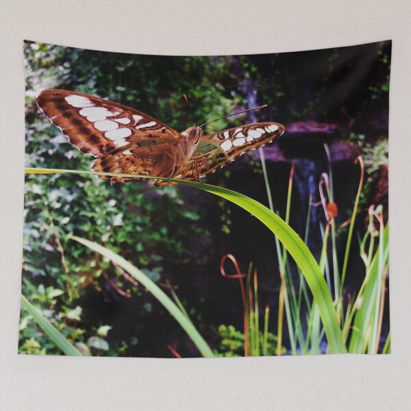 Item preview, Butterfly Balancing Act (Clipper Parthenos Sylvia) designed and sold by Nalinne Jones.