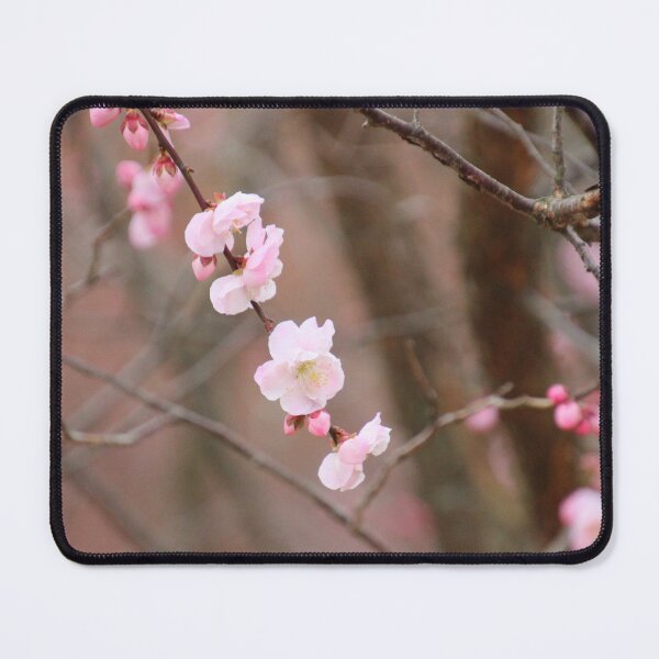 Item preview, Early blooms designed and sold by Judy Miller.