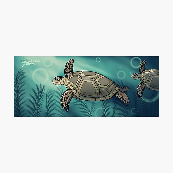 Sea Turtles Photographic Print