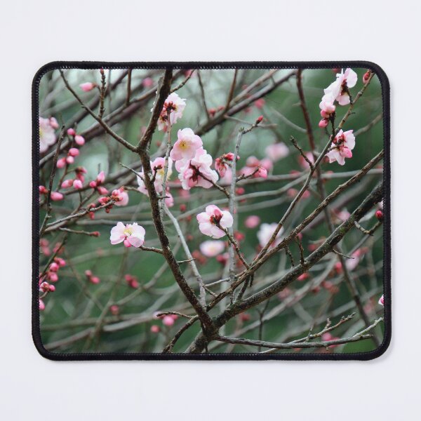 Item preview, Early riser designed and sold by Judy Miller.