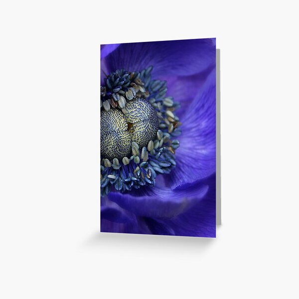 Complexity Greeting Card