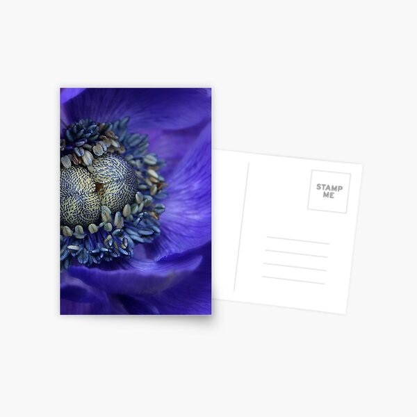 Complexity Postcard