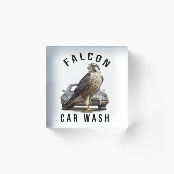 Artikelvorschau, Falcon Autowäsche entworfen und verkauft von Impostrich.