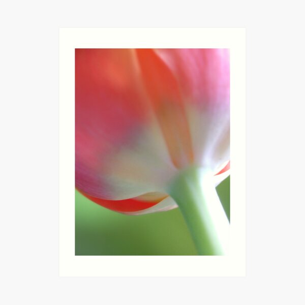 Spring Pastels Art Print