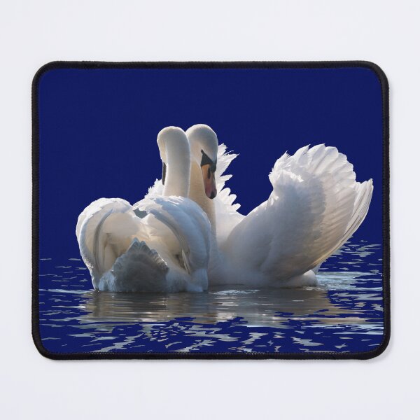 Item preview, Mute Swan pair designed and sold by Danicus666.