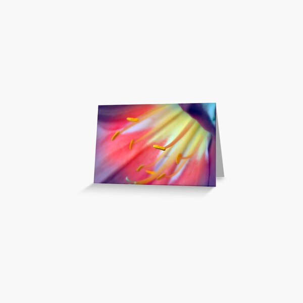 Multicolour Dream Greeting Card
