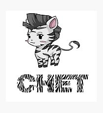 Zebra Chet Photographic Print