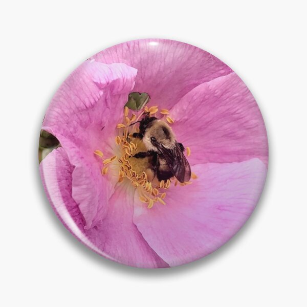 Item preview, Prairie Rose Bee designed and sold by Dee Croaker Artistry.