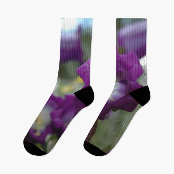 Item preview, Bellflowers (Canterbury Bells) (Campanula medium) Purple Flower Garden designed and sold by VistaViews.