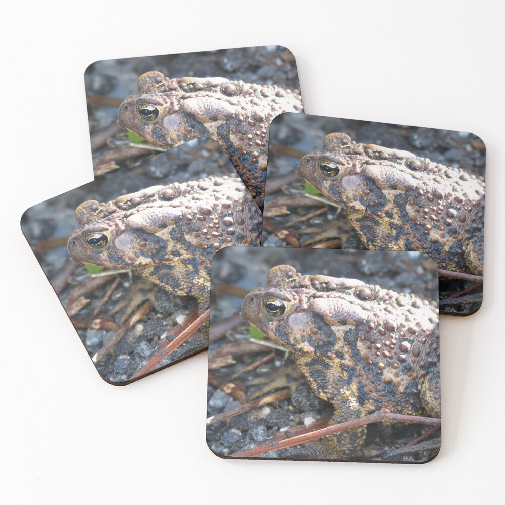Item preview, Coasters (Set of 4) designed and sold by SumthinCoool.