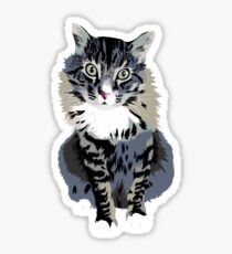 Typical Cat Sticker