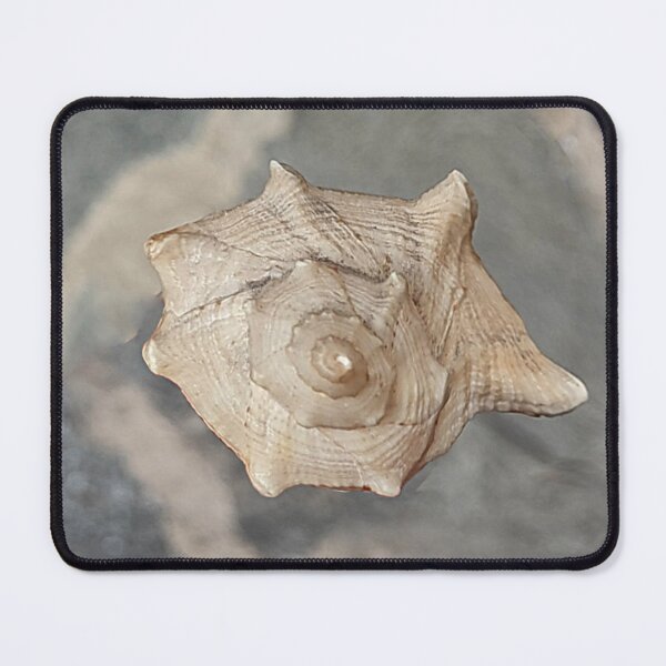 Item preview, Parigi designed and sold by Ailuigidlos.