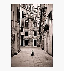 Dog meets Alley Photographic Print