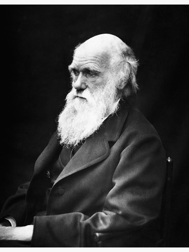 Discover Charles Darwin Premium Matte Vertical Poster