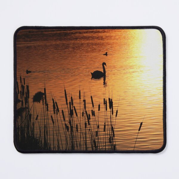 Item preview, Silhouette of a beautiful Swan in a sunset designed and sold by Karen Thomson.