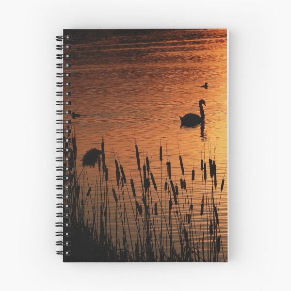 Item preview, Silhouette of a beautiful Swan in a sunset designed and sold by Karen Thomson.