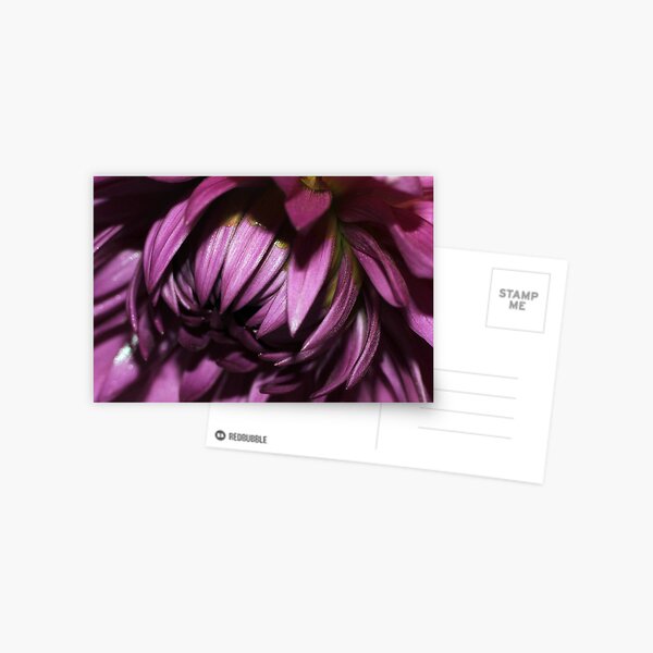 Item preview, Dahlia Series 3 designed and sold by Amanda White.